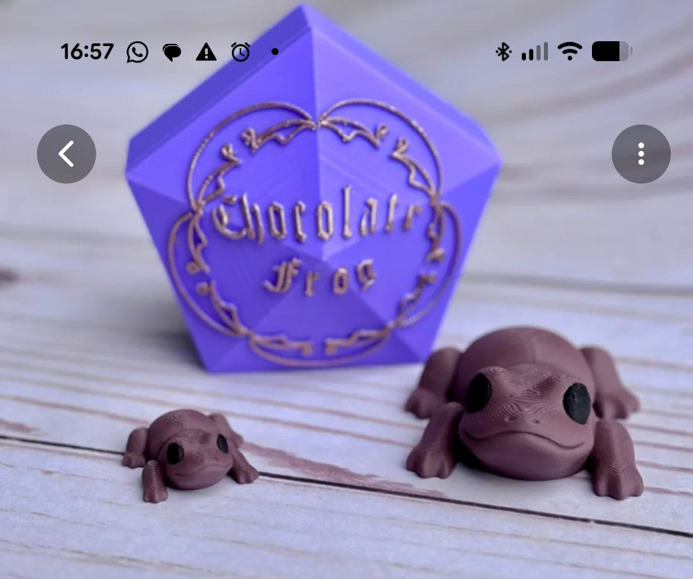 צפרדע משוקולד - הארי פוטר